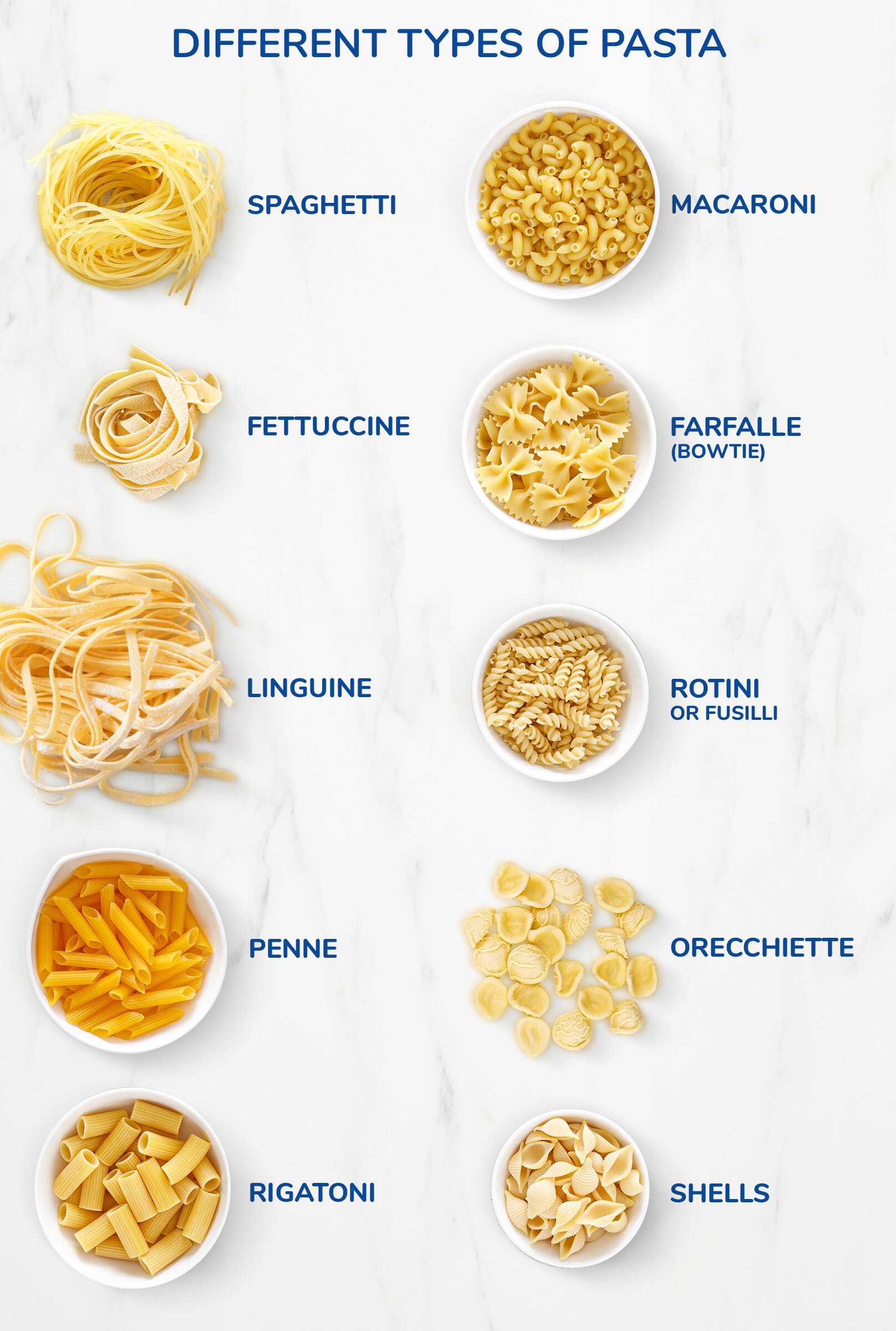 Different Types of Pasta Different Types of Pasta