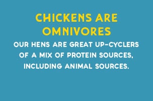 Cage Free