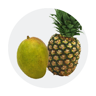 https://www.picknsave.com/content/v2/binary/image/department/produce/imageset_tropicals_icon_06-14--5219483_p5w4_dx_2023_p5w4_produce-page-icon-update_icon_pineapple-mango__330.png