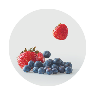 Explore Healthy Nutrition