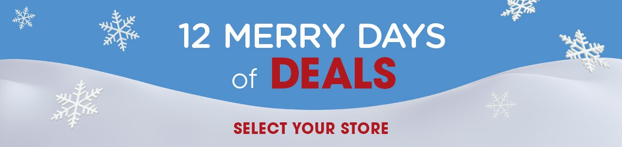 2020 12 Merry Days of Deals