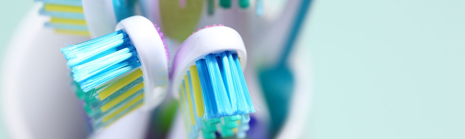 A close up shot of a cup filled with toothbrushes