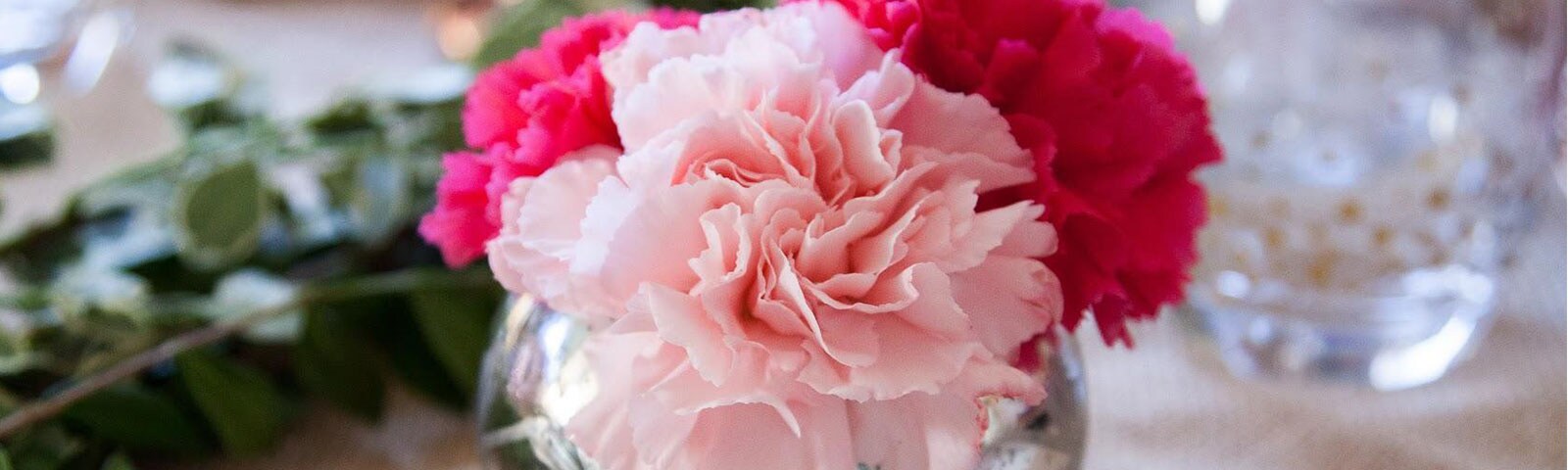 Pink and red carnations sitting in a large bulbous vase atop a table Pink and red carnations sitting in a large bulbous vase atop a table