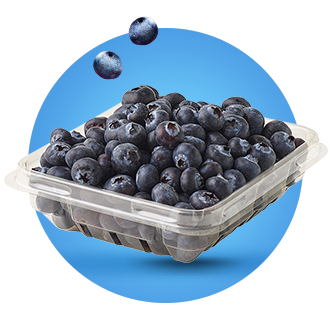 Fresh Berries, Sweet Prices